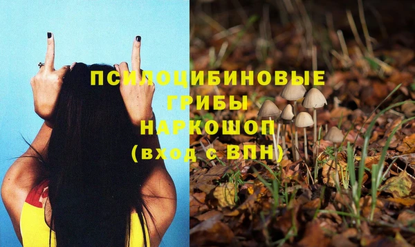 Альфа ПВП Лабытнанги