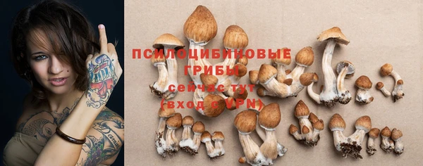 Альфа ПВП Лабытнанги
