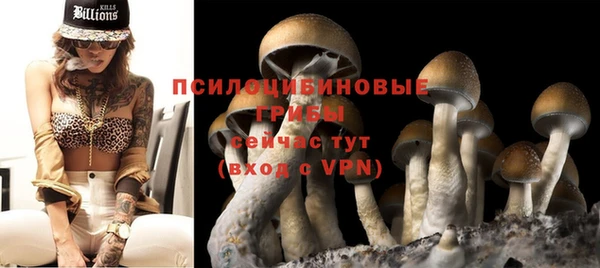 гидра Ладушкин