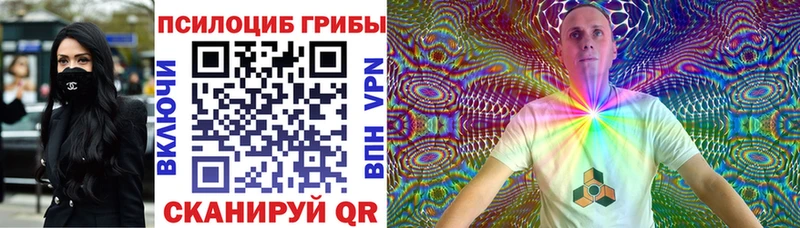 Галлюциногенные грибы GOLDEN TEACHER  Купить закладки  Пудож 